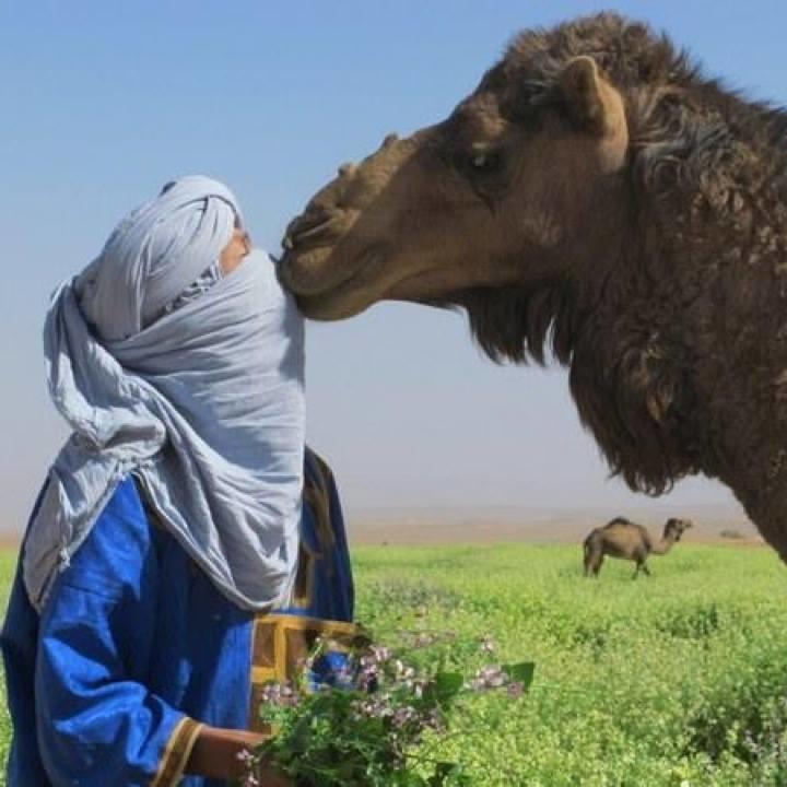 Riad De Reve ザゴラ エクステリア 写真